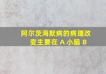 阿尔茨海默病的病理改变主要在 A 小脑 B